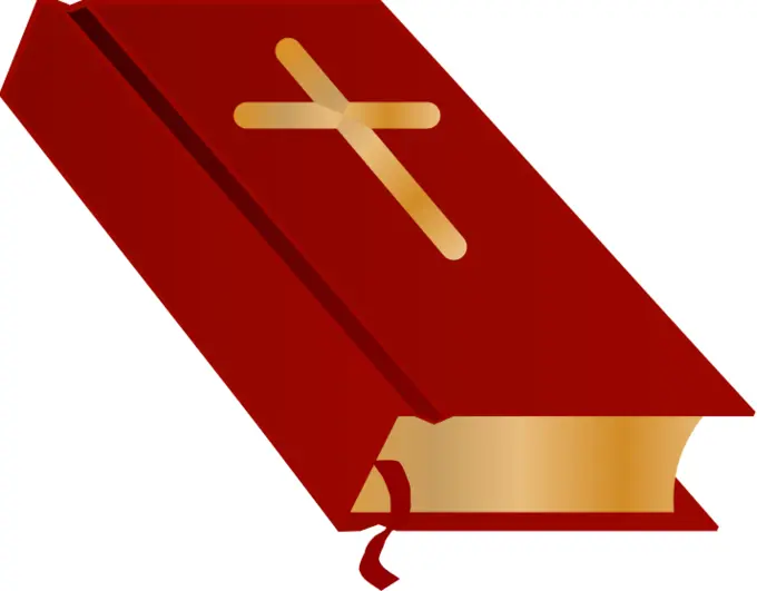 Bible closed vector illustration