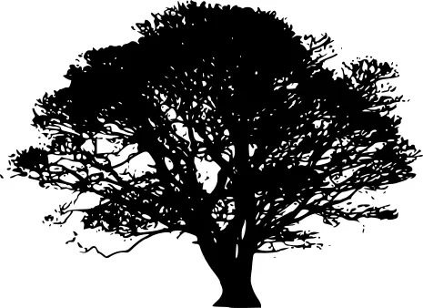 Silhouette of tree vector drawing