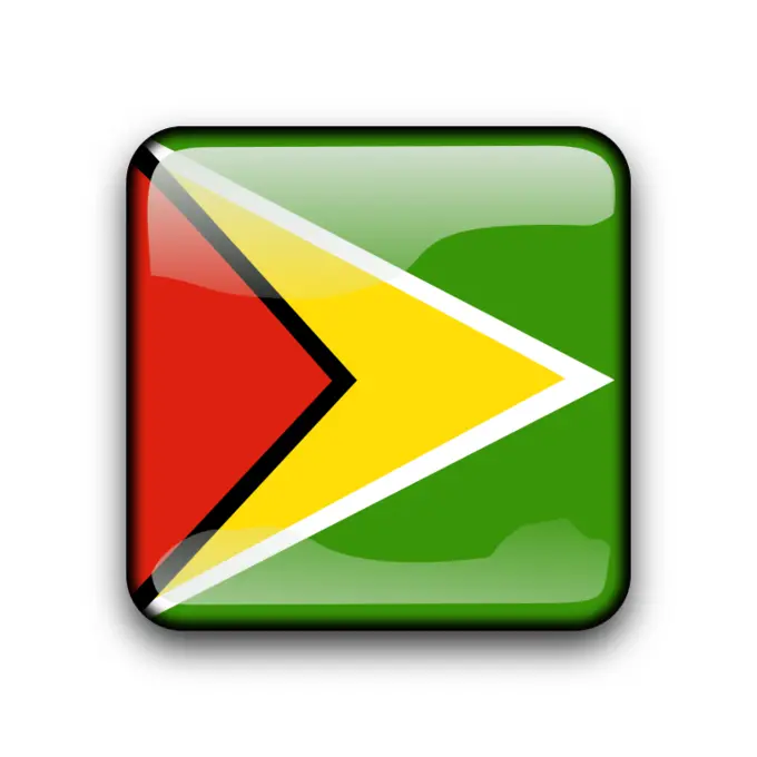 Guyana flag button