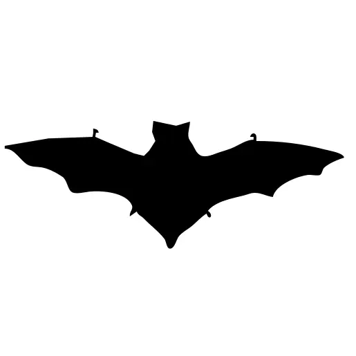 Bat silhouette