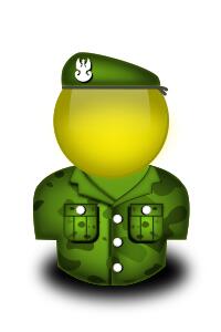 Polish private vector illustration