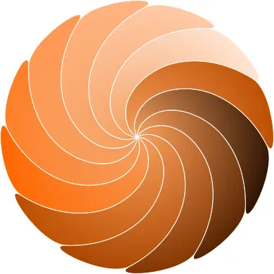 Color spirale vector image