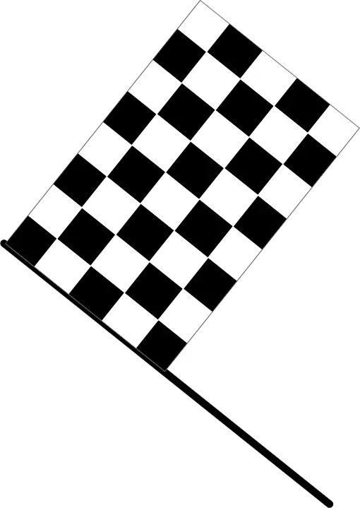 Checkered flag vector image