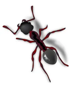ant