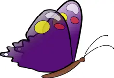 butterfly