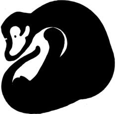 singe