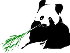 Panda bear