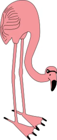 flamingo
