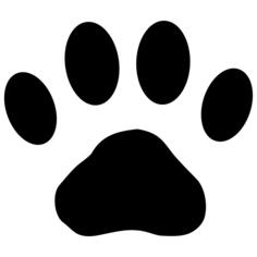 猫的踪迹
