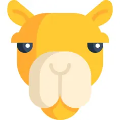 骆驼
