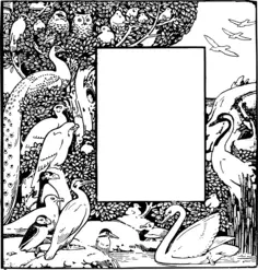 Many birds frame