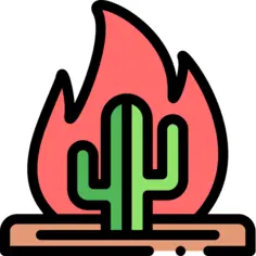 仙人掌
