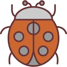 Ladybug