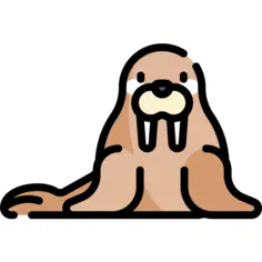 Walrus