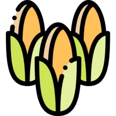 Corn