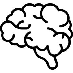 Brain