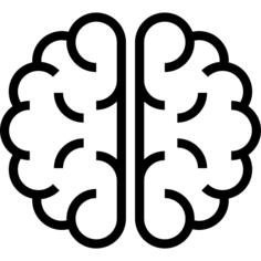 Brain