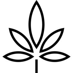 Marijuana