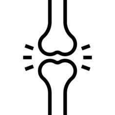 Bones