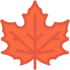 Maple leaf