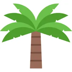 Palm tree