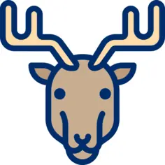 Reindeer