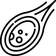 Meteorite