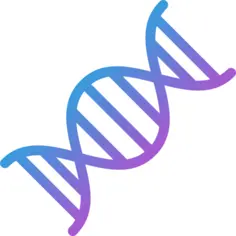 Dna