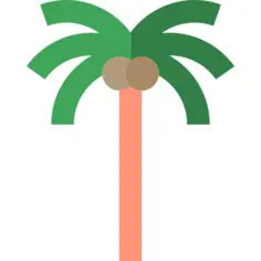 Palm tree