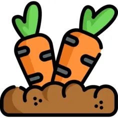 Carrot
