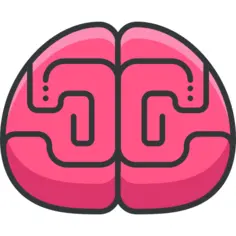 脑