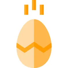 Egg