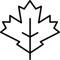 Maple leaf