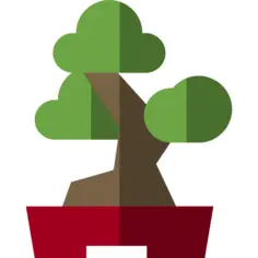 Bonsai