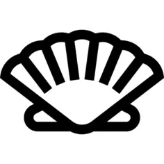 Seashell