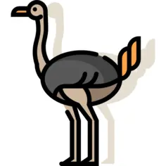 Ostrich