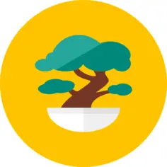 Bonsai