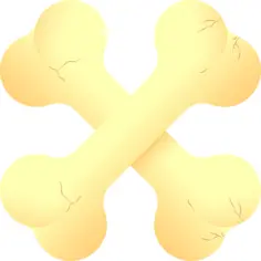 Bones
