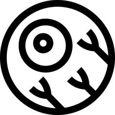 Eye