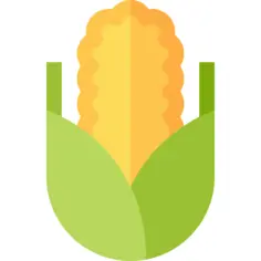 Corn
