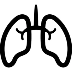 Lungs