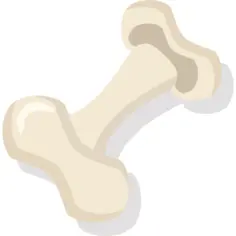 Bone