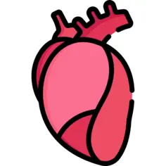 Heart