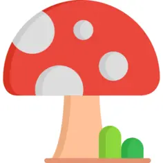 Mushroom