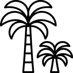 Palm tree