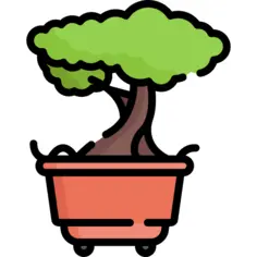 Bonsai