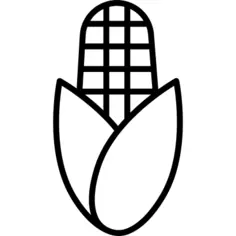Corn