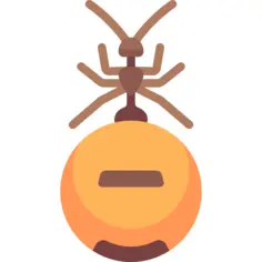 Ant