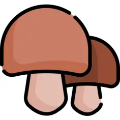 Mushroom
