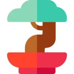 Bonsai